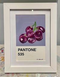 Image 2 of Grape Pantone