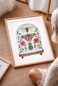 Image 6 of Insect Art Print March Dome, Under Glass Collection