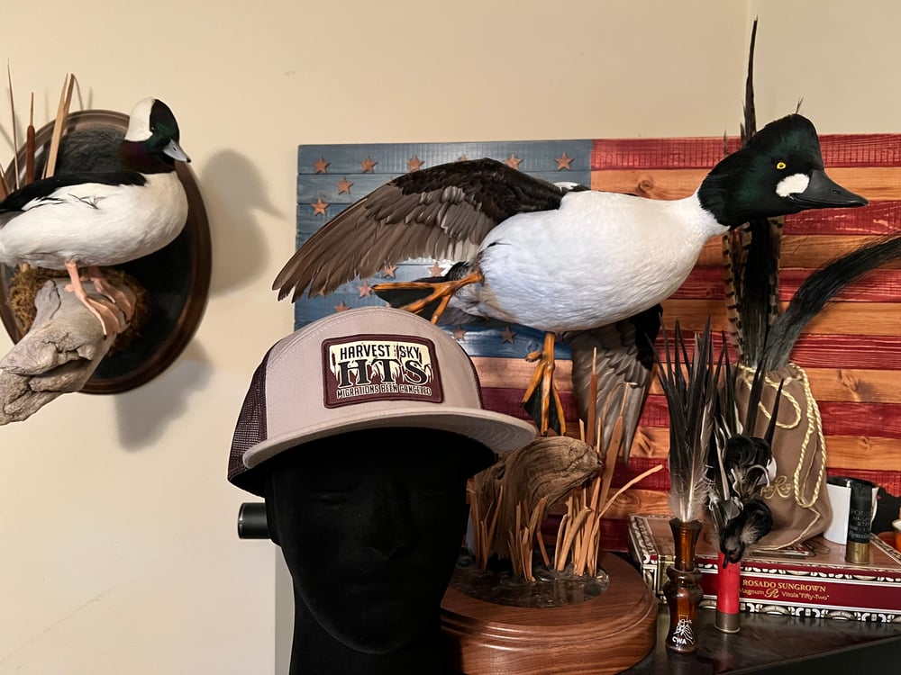 Tule Logo Panel Hat