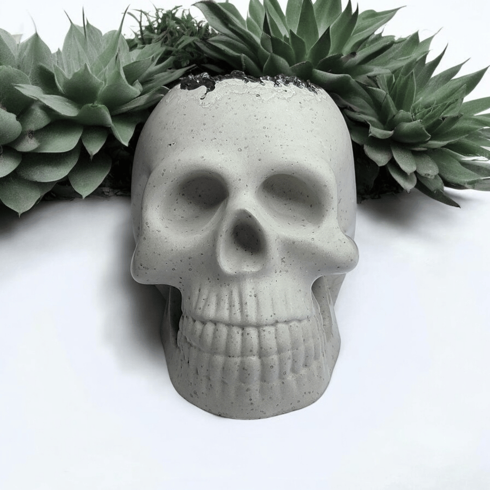 Image of Cement Skull With Crushed Black Glass 