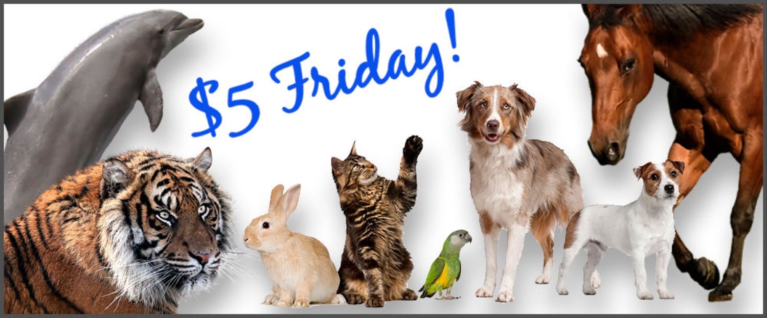 Image of $5.55 FRIDAY - ONE PER PERSON