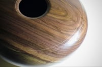 Image 4 of Black Walnut Hollow Form