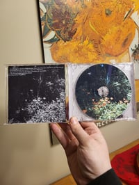 Image 3 of meandergreen - fallow and cancer, it was the night sky