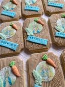 Image 4 of Peter Rabbit Plaque