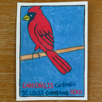 Cardinalis cardinalis. Single Card. 