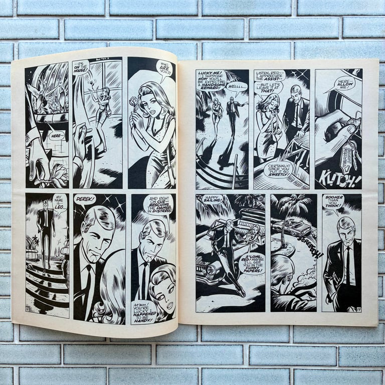 Leo Derek: In the Heart of Danger by James & Joshua Stewart - SIGNED Image 3