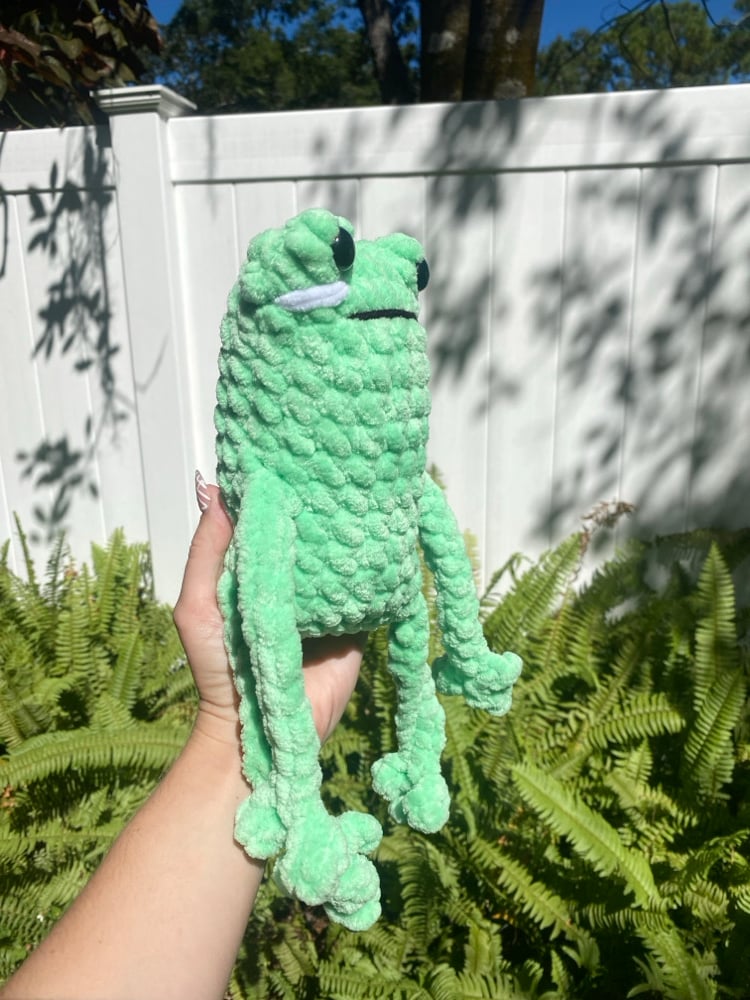 Image of Big Leggy Froggy