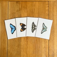 Image 1 of Butterfly Print #3 - Various Designs