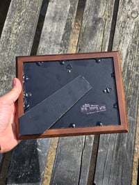 Image 4 of Cat Collection - Cat engravings with real preserved web- Q