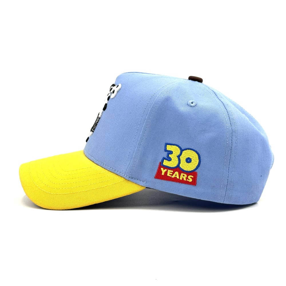 “Friend In Us” 30th Anniversary Cap
