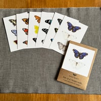 Image 1 of Notecard set - Various Designs.