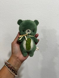 Pickle Bear (with freckles)