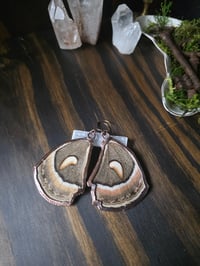 Image 3 of Cecropia Moth Wing Earrings #2
