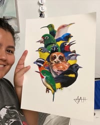 Image 2 of Aves de Puerto Rico • Art Print 