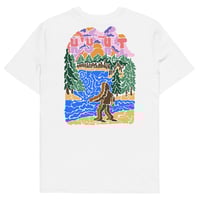 Image 3 of Skimming stones