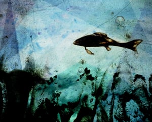 Image of Beneath the Surface - 8x10 limited edition print