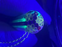 Image 2 of Red striped uv 