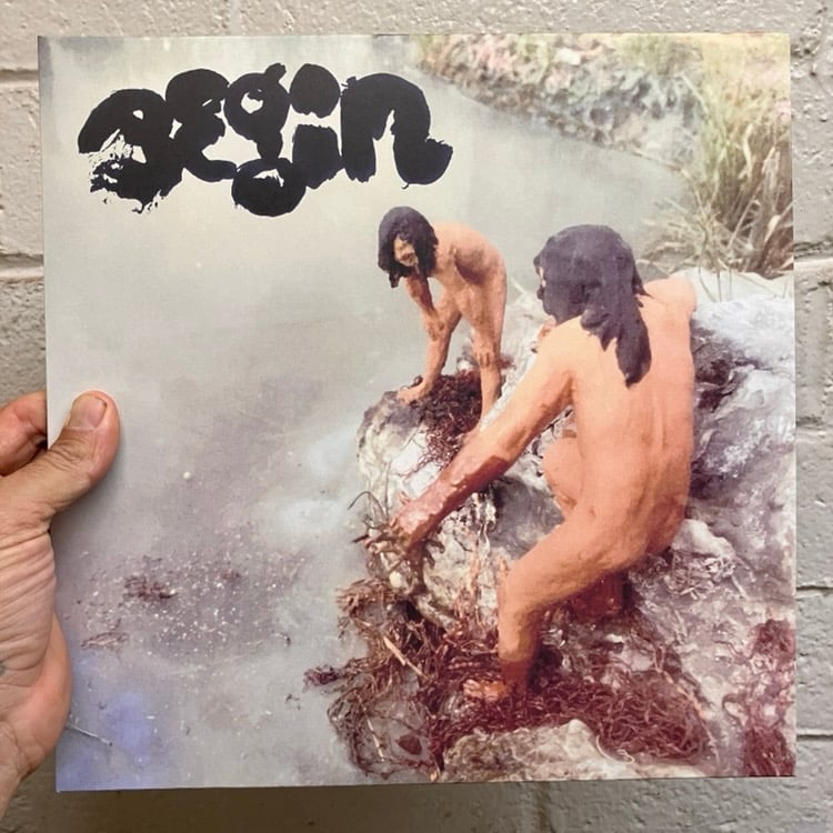 Image of Little Wings “Be Gulls Begin”