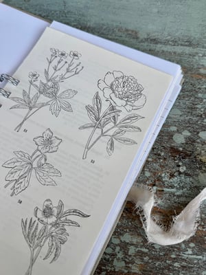 Image of Creative journal #1
