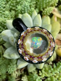 Image 1 of Opal Shells