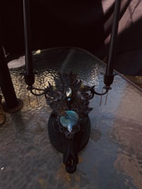 Image 4 of Empress Coyote skull candelabra 