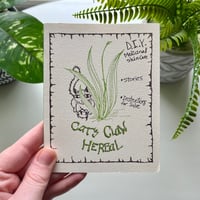 Image 1 of Cat's Claw Herbal (zine)