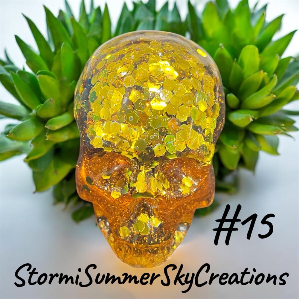 Image of Medium Sized Skulls