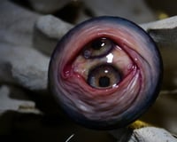 Image 7 of Custom Swappable Phone Grip for smartphones, double iris, reflective pupil, glow in the dark