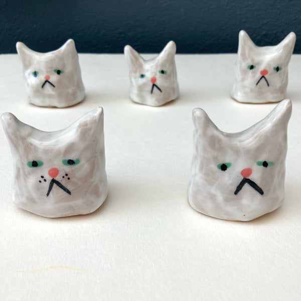 Image of White  Cats