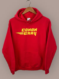 Image 1 of Conan Gray Tour Hoodie (Medium)