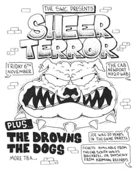 SHEER TERROR / THE DROWNS @ THE CAB (06.11.26)