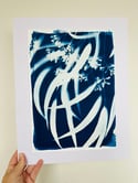 A4 original gum leaf cyanotype 