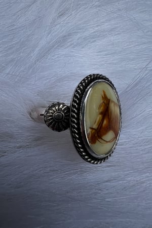 Image of Rope & Ride Ring