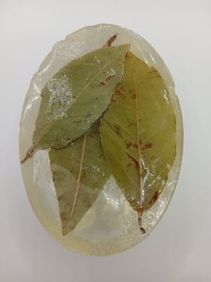 Image of Tea Tree Massage Fresh Body Bar