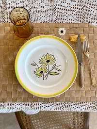 Image 1 of 10 assiettes plates - Années 50