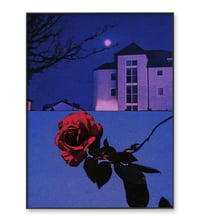 Image 3 of PICK ROSES AT NIGHT X