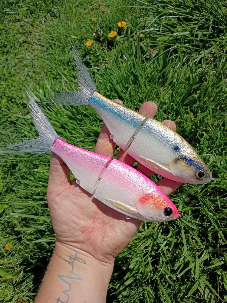 Image of 9 inch Snack