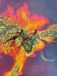 Image 1 of Acid pool 