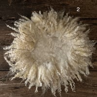 Image 2 of Curly wool layer