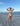 BIKINI SIGNED PHOTOS