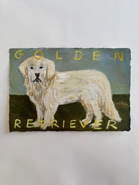 Golden Retriever 