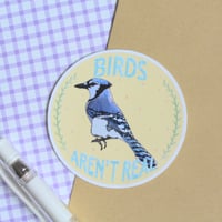 Image 3 of Birds Aren't Real - Sticker