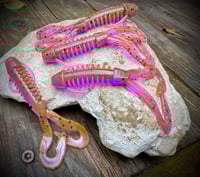 Image 2 of VEXXUS - “Chameleon”