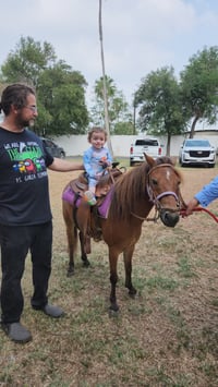 Image 5 of Petting Zoo & Pony Rides