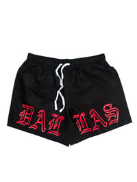 DALLAS SWIM TRUNKS (BRED)