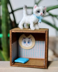 Image 2 of Pipe cleaner mini ragdoll kitten with wooden modular display