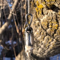Image 4 of Large wolf tooth