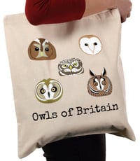 Image 4 of Collectors Set - No.1-5 - Owls of Britain Series