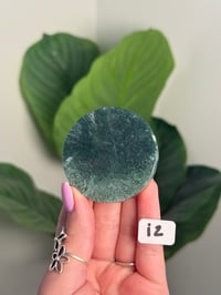 Image 9 of CHOOSE YOUR OWN MOSS AGATE DISK -INDIA- LOT 2