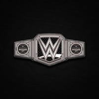 Decayed WM 42 Belt (PRE ORDER)